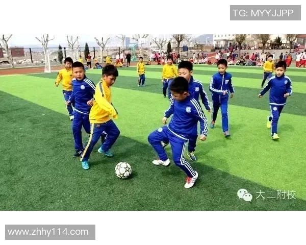 卡通足球星带你畅游绿茵场感受激情与梦想交织魅力